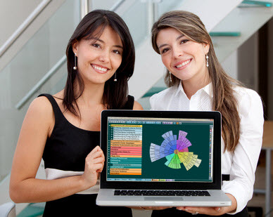 tasks in sector diagram