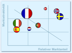 Portfolio-Analyse