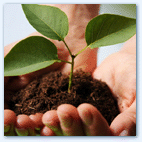Erfolg © Fotolia