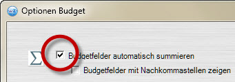 Option Budget summieren